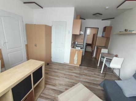 Pronájem bytu, 1+kk, 30 m²