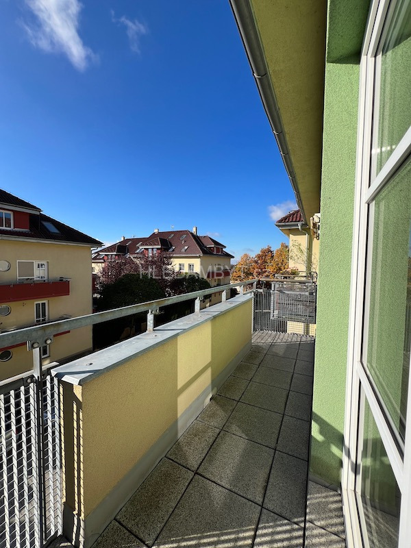 Fotku se nepodařilo načíst.