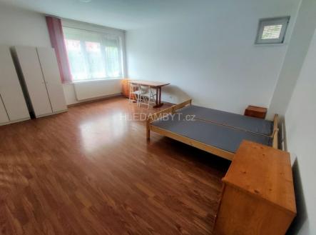 Pronájem bytu, 1+kk, 42 m²