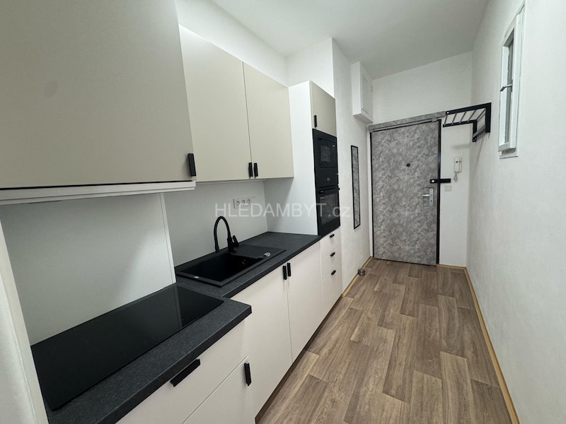 Pronájem bytu Praha 7 Holešovice 1+kk Schnirchova