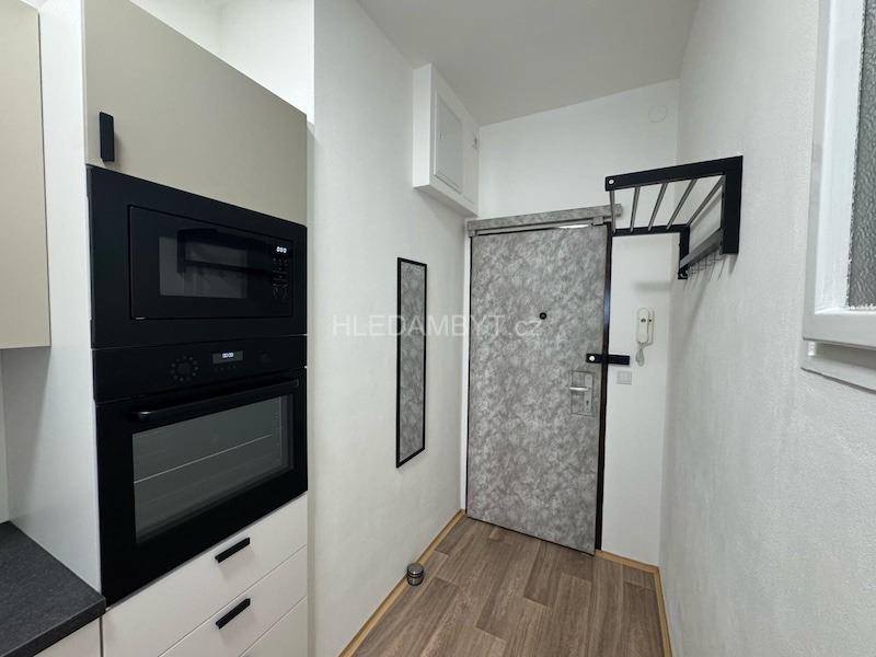 Pronájem bytu Praha 7 Holešovice 1+kk Schnirchova