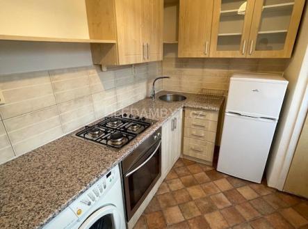 Pronájem bytu, 1+1, 39 m²