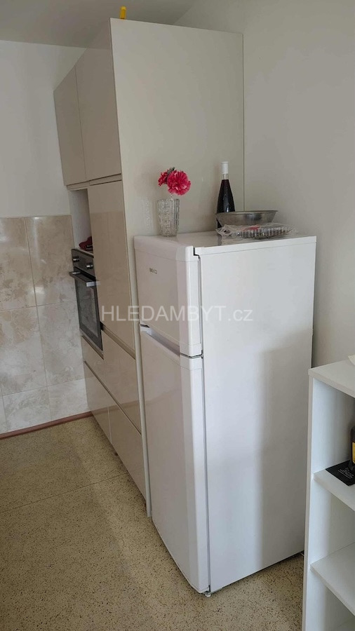 Pronájem bytu Praha 3 Žižkov 2+kk U Kněžské louky