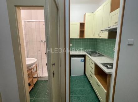 Pronájem bytu, 1+kk, 35 m²