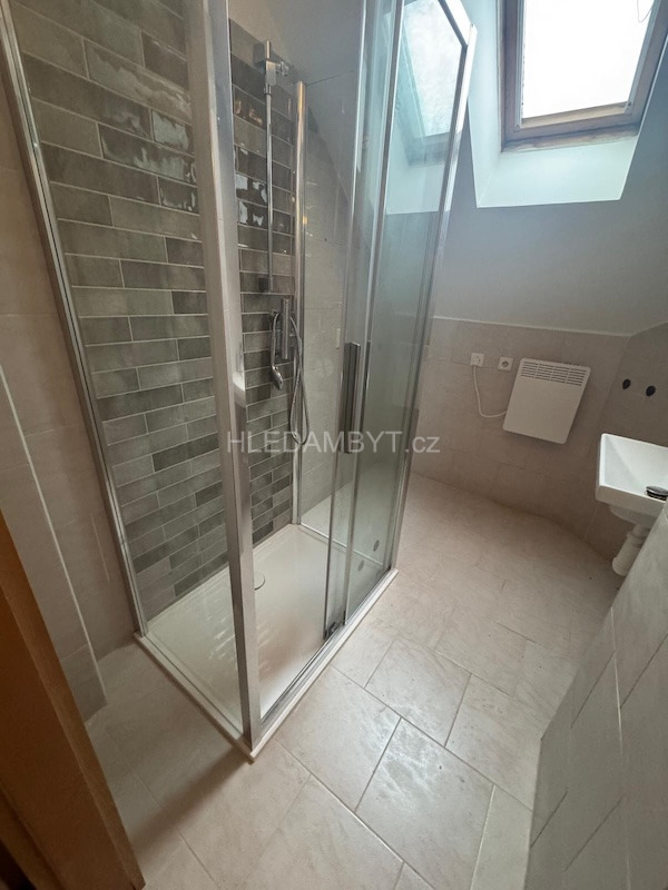 Pronájem bytu Praha 3 Žižkov 2+1 Hartigova