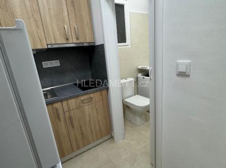 Pronájem bytu, 1+kk, 27 m²