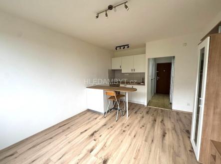 Pronájem bytu, garsoniéra, 24 m²