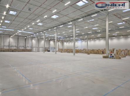 Pronájem - výrobní prostor, 7 064 m²