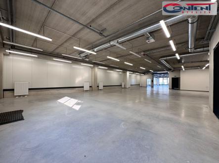 Pronájem - výrobní prostor, 1 100 m²