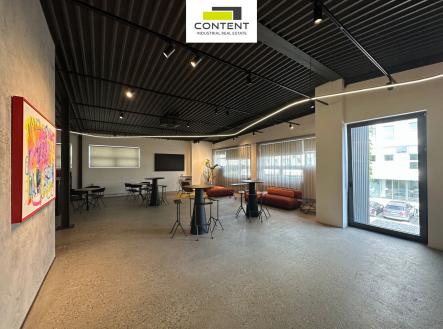 Pronájem kanceláře, 293 m²