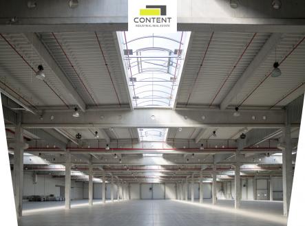 Pronájem výrobní prostor, 19 000 m²