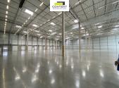 Pronájem skladu, 4 393 m²