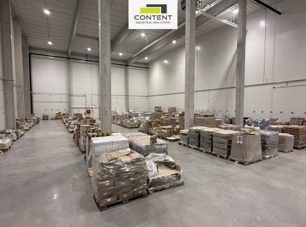 Pronájem výrobní prostory, 1 000 m²