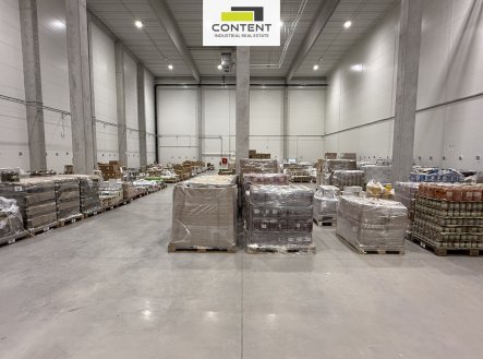 Pronájem výrobní prostory, 1 000 m²