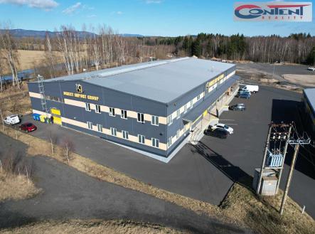 Pronájem - skladovací prostor, 4 000 m²