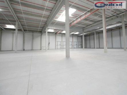 Pronájem - výrobní prostor, 8 000 m²