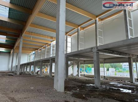 Pronájem - výrobní prostor, 1 000 m²