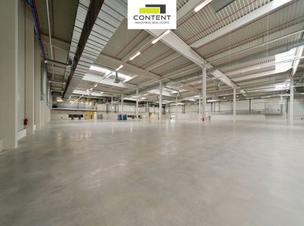 Pronájem skladu, výrobních prostor 11.800 m², Brno - Ledce