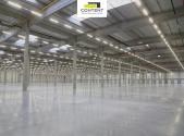 Pronájem výrobní prostory, 29 000 m²