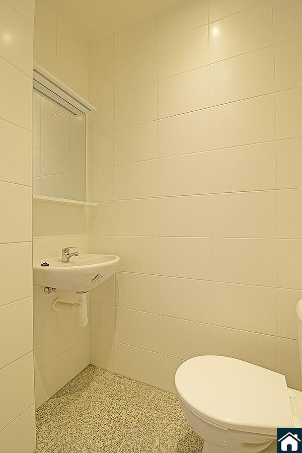 Fotku se nepodařilo načíst.