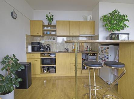 Pronájem bytu, 1+kk, 33 m²