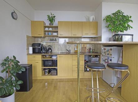 Pronájem bytu, 1+kk, 33 m²