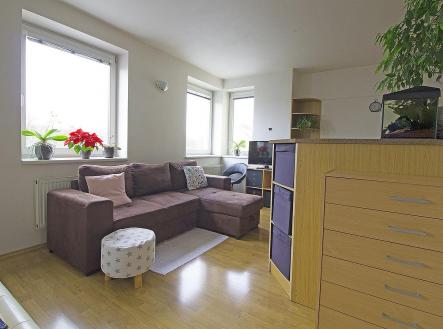 Pronájem bytu, 1+kk, 33 m²