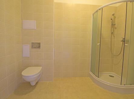 Pronájem bytu, 1+1, 48 m²