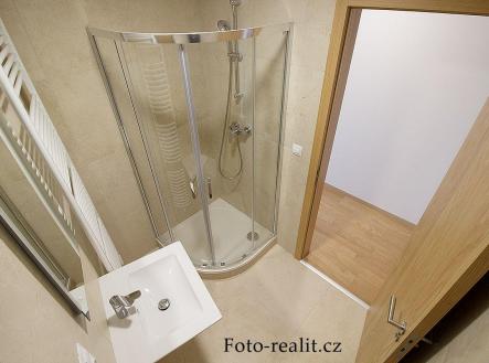 Pronájem bytu, 1+kk, 45 m²