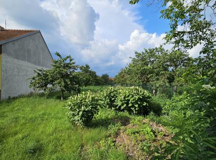 Prodej - pozemek pro bydlení, 765 m²