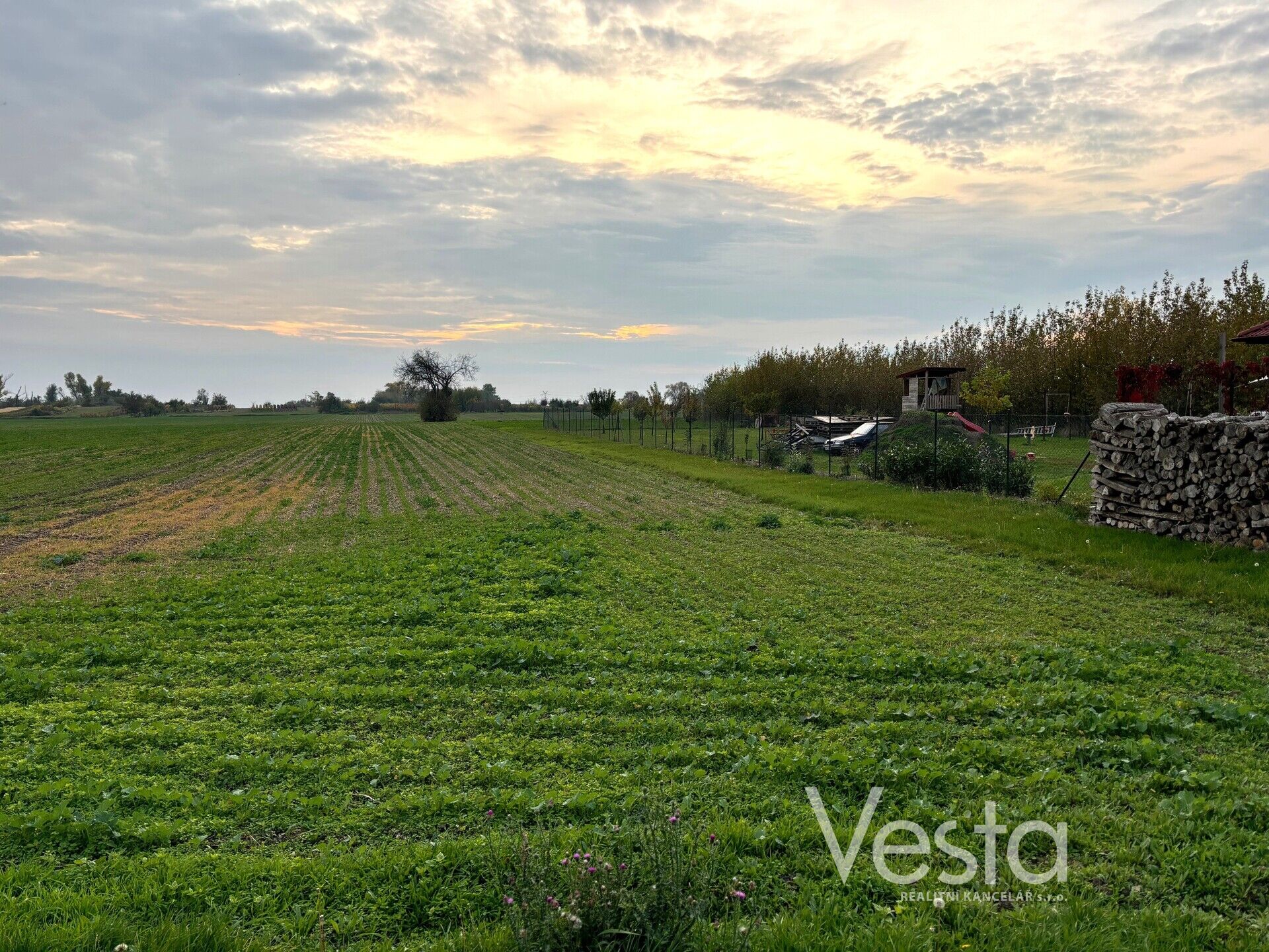 Dražba spoluvlastnického podílu o velikosti ¼ na pozemcích 3 974 m2