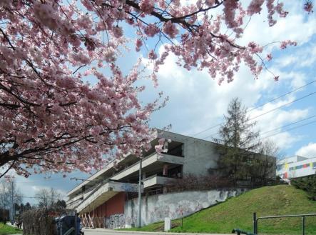 Prodej - obchodní prostor, 149 m²