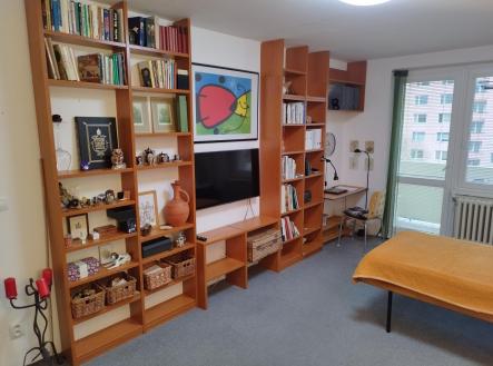 Pronájem bytu, 1+1, 41 m²