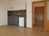 Pronájem bytu, 1+kk, 31 m²