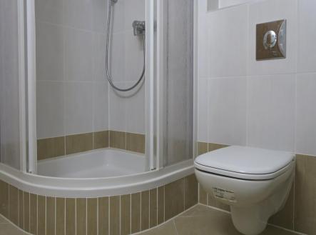 Pronájem bytu, 1+kk, 31 m²