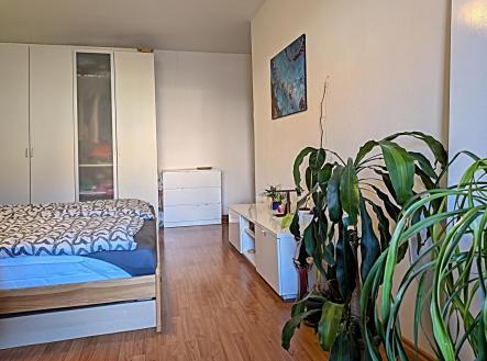 Prodej bytu, 2+kk, 67 m²