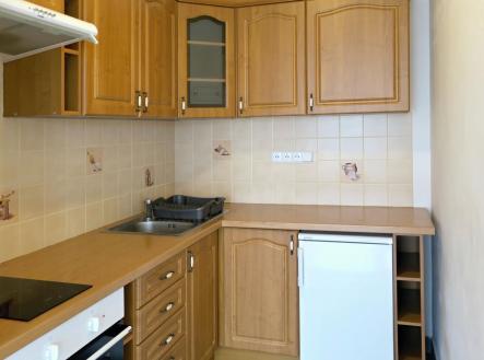 Pronájem bytu, 1+kk, 41 m²
