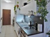 Pronájem bytu, 1+kk, 42 m²