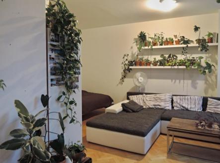 Pronájem bytu, 1+kk, 42 m²