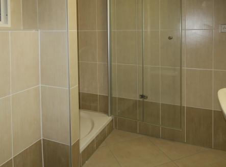 Pronájem bytu, 1+kk, 31 m²