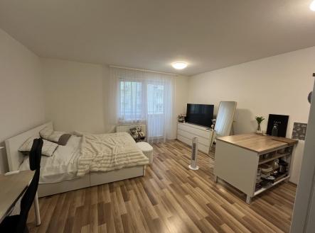 Pronájem bytu, 1+kk, 34 m²