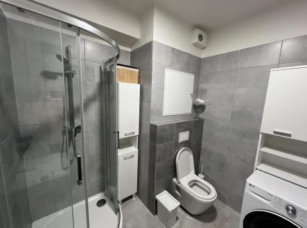 Pronájem bytu, 1+kk, 34 m²
