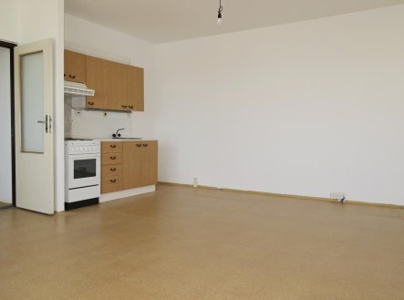 Prodej bytu, 2+kk, 56 m², Brno – náhled fotky 3