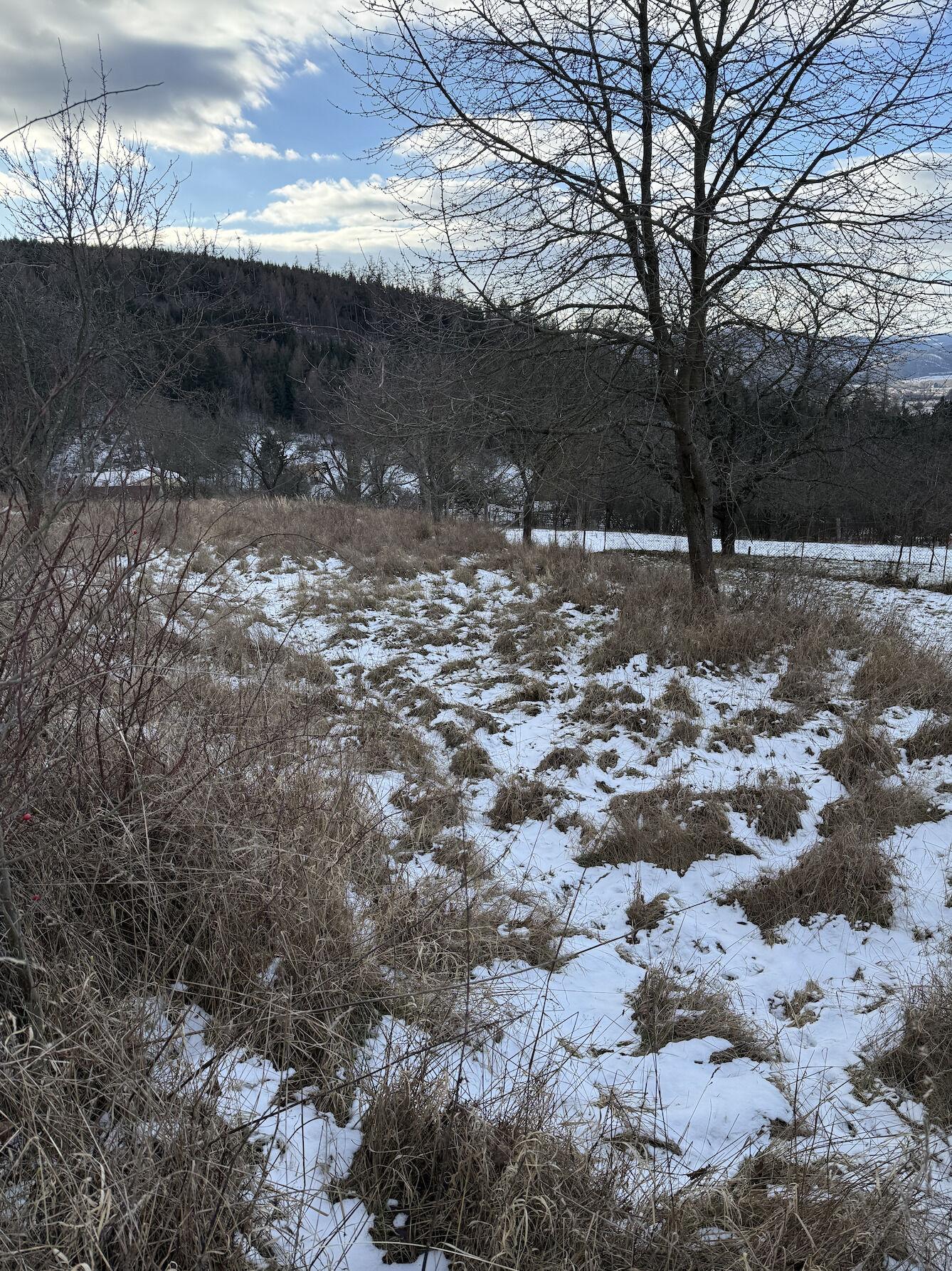 Prodej zahrady 887m²