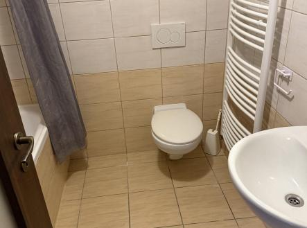 Pronájem bytu, 2+kk, 42 m²