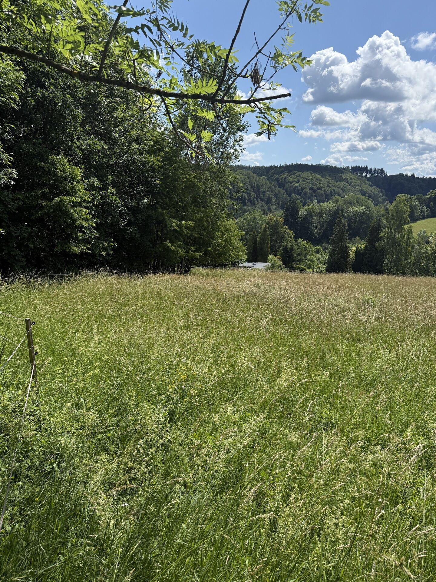 Prodej stavebního pozemku 7359 m² Hrádek u Jehnědí