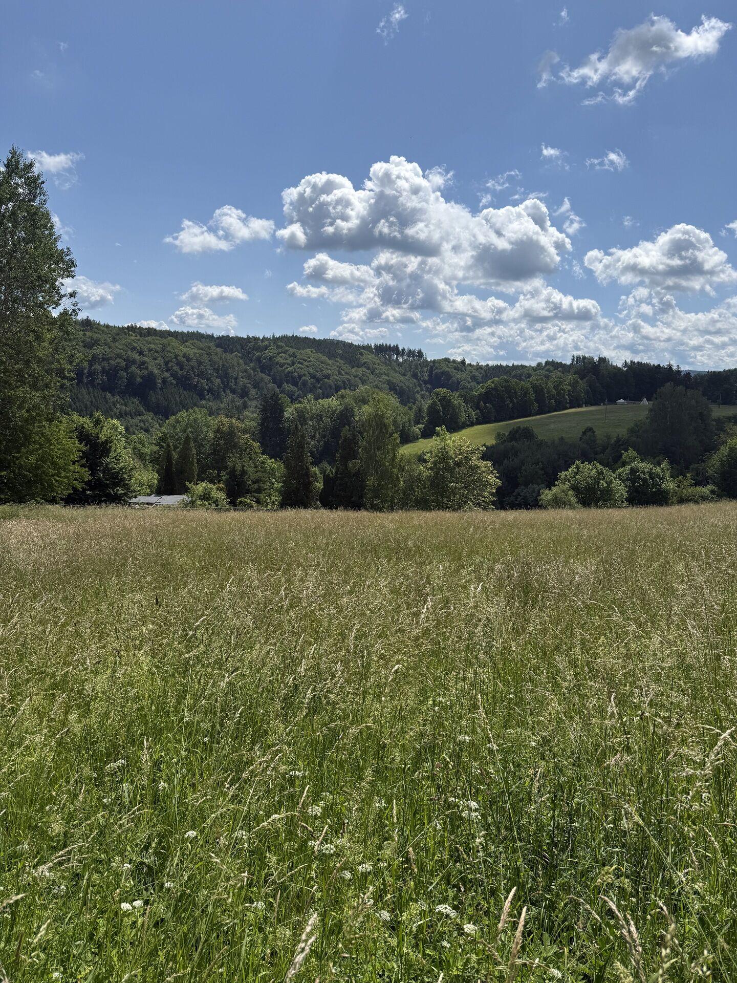 Prodej stavebního pozemku 7359 m² Hrádek u Jehnědí