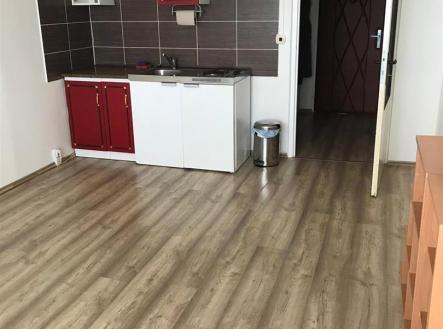 Prodej bytu, 1+kk, 23 m²