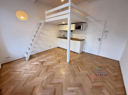 Pronájem bytu, 1+kk, 25 m²