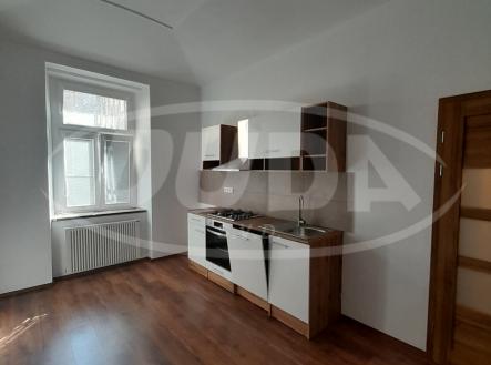 Pronájem bytu, 1+1, 47 m²